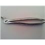 Aesculap Forcep Dg404 (No. 4 - Lower Incisors)