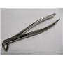 Kent Dental Lower Forceps 123